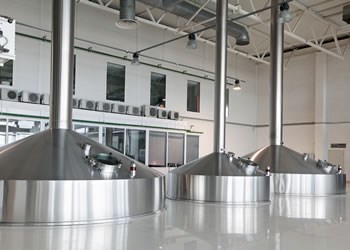 Food safety: Halo SQE